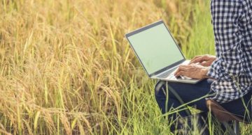 Internet Rural Planos