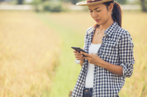 Internet para fazenda