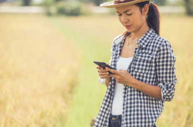 Internet para fazenda: descubra qual é a melhor tecnologia