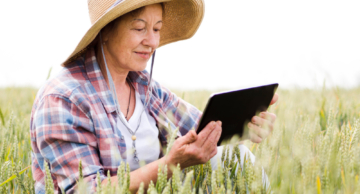 Como melhorar sinal de internet na zona rural?